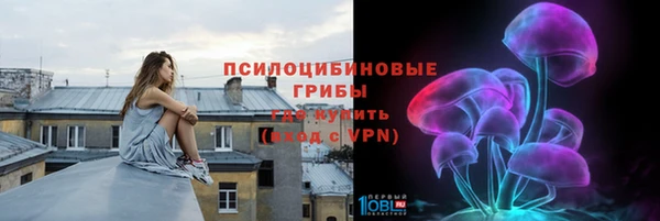 гидра Пестово