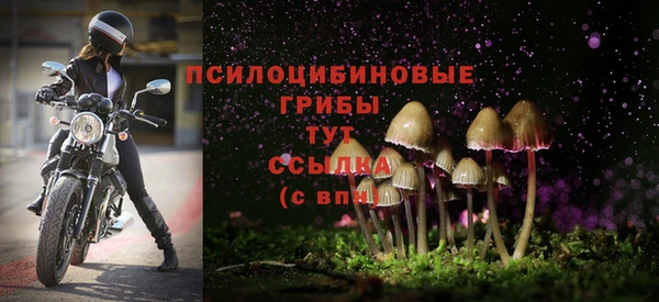 меф Бородино