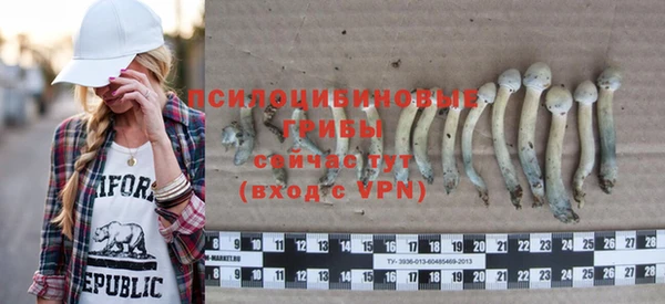 меф Пересвет
