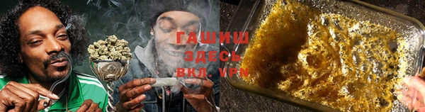 гидра Пестово