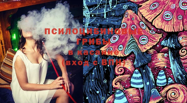 меф Пересвет