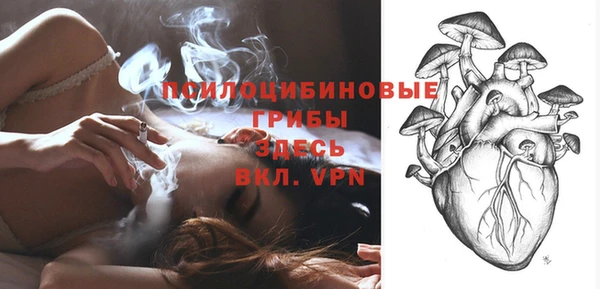 меф Пересвет