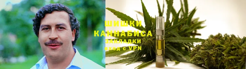 Шишки марихуана OG Kush  Сосновка 